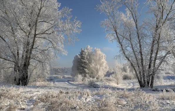 Зима, иней, дорога, снег, деревья, пейзаж, природа, мороз