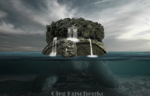 Море, лес, Черепаха, forest, sea, turtle, Oleg Kuschenko