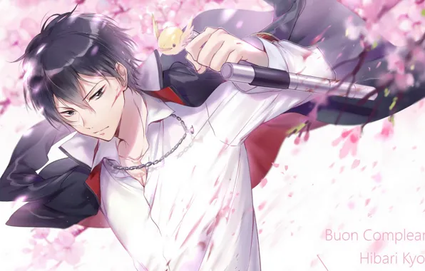 Взгляд, аниме, арт, парень, птичка, Katekyo Hitman Reborn!, Хибари Кёя, тонфа