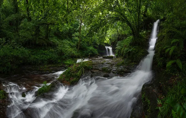 Картинка лес, река, водопады, каскад