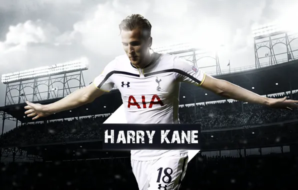 Wallpaper, sport, logo, football, player, Tottenham Hotspur, Hurry Kane