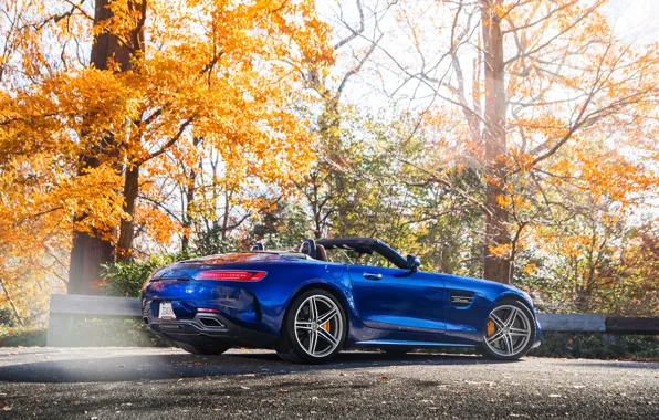 Roadster, Mercedes-Benz, вид сбоку, AMG, 2018, GT C