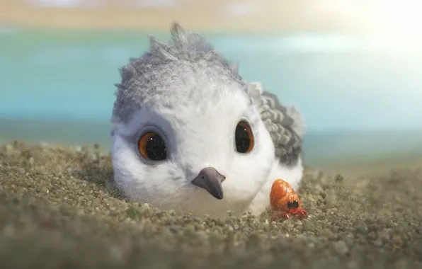 Bird, new, disney, cute, Piper, 2016, anim