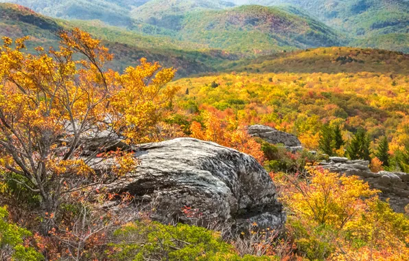 Картинка осень, деревья, горы, скалы