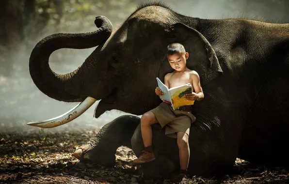 Nature, Thailand, Man, People