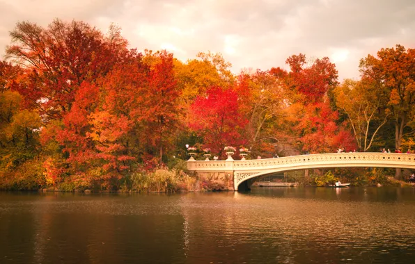 Картинка осень, листья, деревья, отражение, люди, лодка, Нью-Йорк, зеркало