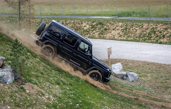 Чёрный, Mercedes-Benz, внедорожник, полигон, 4x4, G-Class, V8, 2019