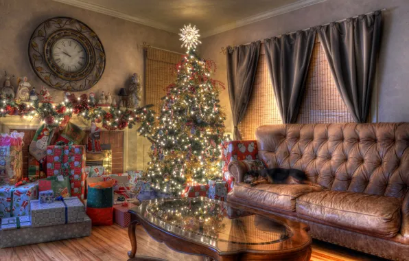 Картинка диван, праздник, часы, елка, новый год, собака, Рождество, подарки