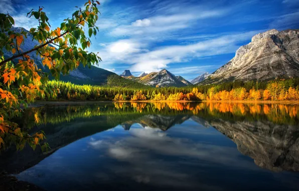 Картинка осень, листья, пейзаж, горы, ветки, природа, озеро, отражение
