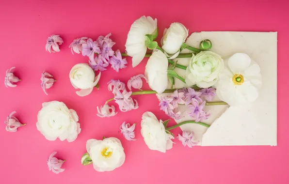 Цветы, лепестки, розовые, white, белые, pink, flowers, композиция