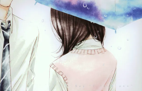 Капли, зонт, галстук, двое, свидание, Kurosawa Yamato, Tachibana Mei, Say i love you