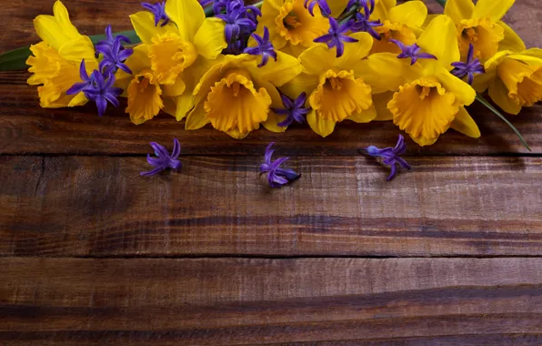 Цветы, желтые, yellow, wood, flowers, нарциссы, spring