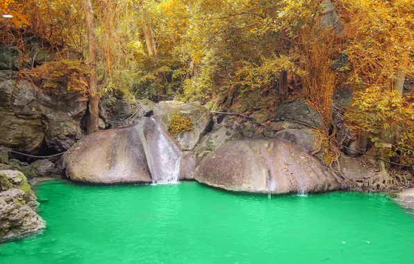 Осень, лес, деревья, природа, река, водопад, поток