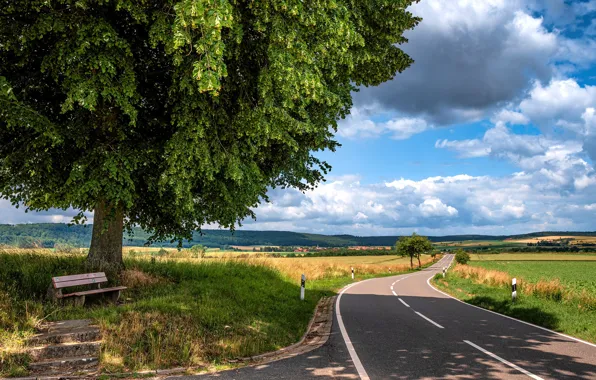 Дорога, лето, облака, пейзаж, скамейка, дерево, поля, тень