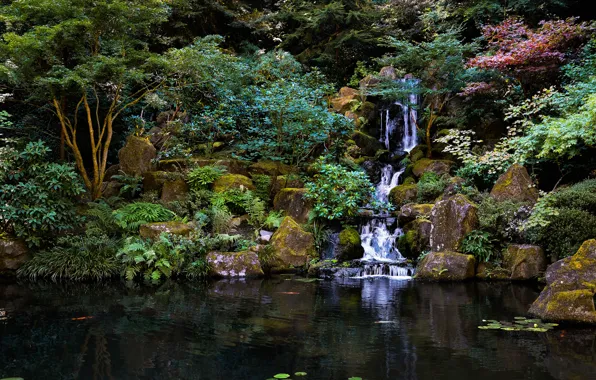 Картинка деревья, пруд, парк, камни, водопад, Японский сад, Japanese garden