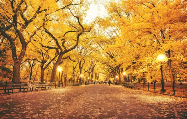 Осень, листья, деревья, парк, фонари, фонарные столбы, скамейки люди