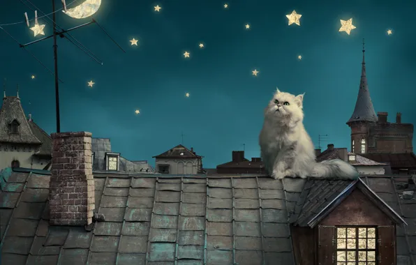 Картинка небо, звезды, ночь, котенок, луна, дома, сказка, крыши