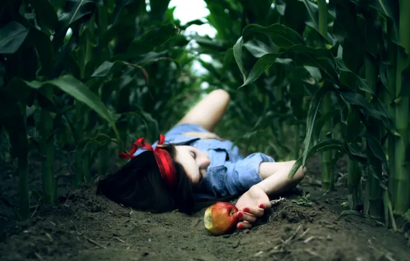 Картинка поле, девушка, фон, земля, обои, яблоко