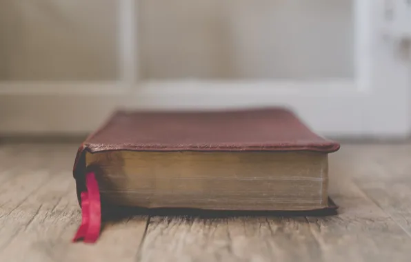 Love, Christian, God, Book, Bible, Jesus, Holy Bible, Sixteen Miles