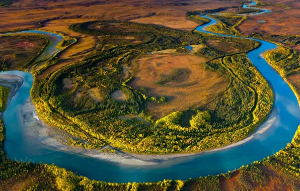 Картинка деревья, пейзаж, река, Аляска, США, заповедник, Arctic National Park
