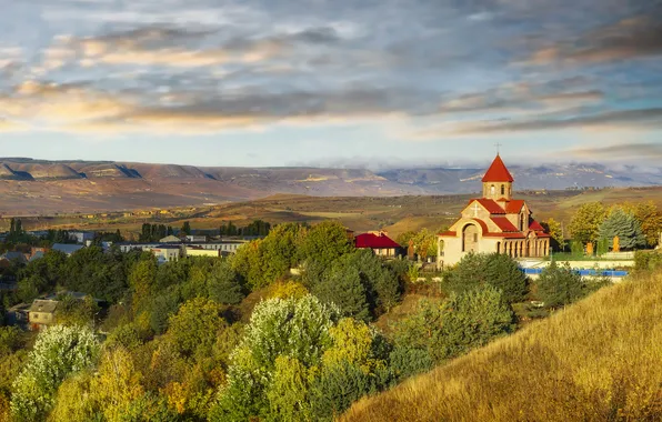 Лес, небо, облака, деревья, горы, холмы, вид, высота