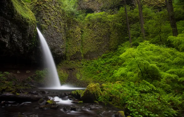 Картинка природа, камни, скалы, green, водопад, растения, nature, Waterfalls