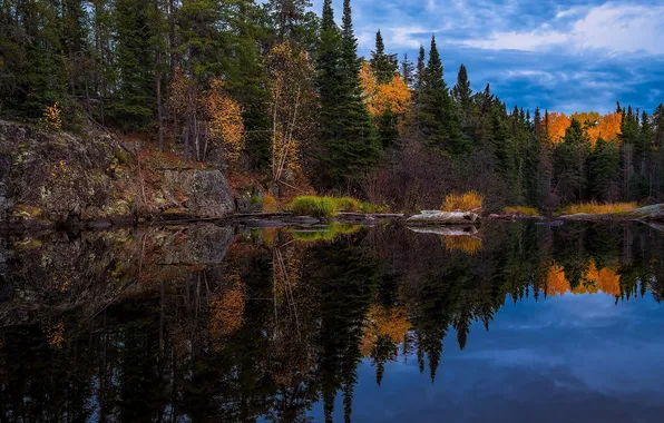 Картинка осень, деревья, природа, отражение, река