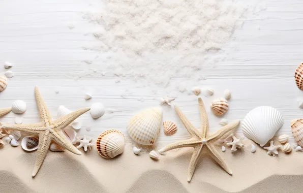 Песок, пляж, фон, ракушки, beach, texture, background, sand