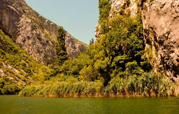 Картинка река, river, Хорватия, Croatia, Cetina, Цетина