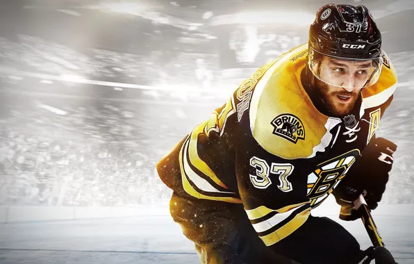 Картинка перчатки, шлем, клюшка, хоккей, игрок, EA Sports, Bruins, EA Canada