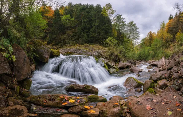 Картинка осень, лес, деревья, река, камни, водопад, Россия, Карачаево-Черкесия