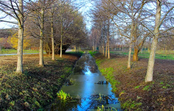 River, trees, water, park