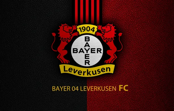 Wallpaper, sport, logo, football, Bundesliga, Bayer Leverkusen
