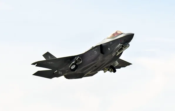 ВВС США, истребитель-бомбардировщик, Lightning II, F-35, Lockheed Martin