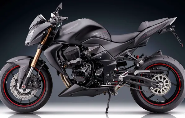 Картинка Kawasaki, Rizoma, Z series