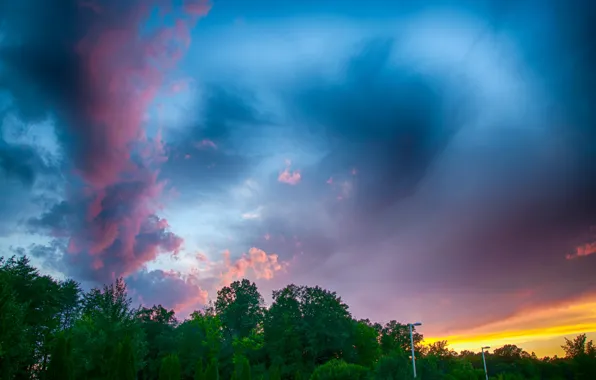 Небо, облака, деревья, пейзаж, природа