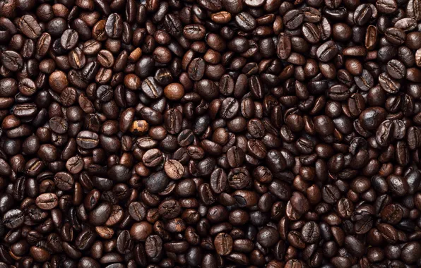 Brown, background, view, beans, coffee, top, aroma, beverage