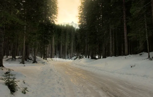 Картинка зима, дорога, лес, снег, деревья, ель, поворот, хвойные
