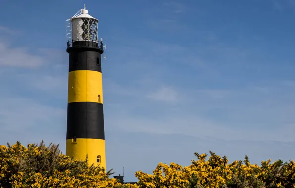 Картинка побережье, маяк, Ирландия, Bumble Bee Lighthouse