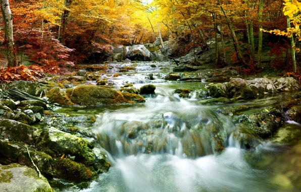 Картинка осень, лес, деревья, водопад, речка