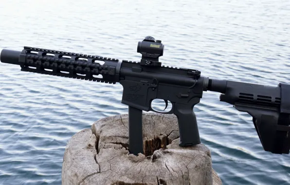 Gun, weapon, nature, wood, lake, 9mm, rifle, AR-15