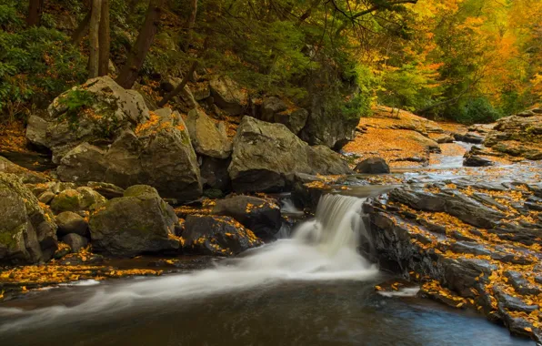 Картинка осень, лес, камни, водопад, Пенсильвания, каскад, Pennsylvania, Государственный парк Огайопайл
