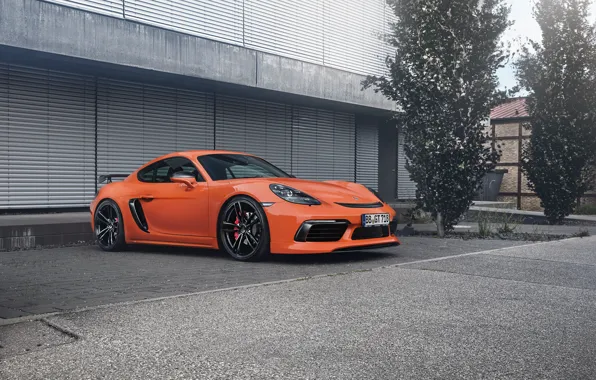 Авто, Porsche, Cayman, Orange, TechArt