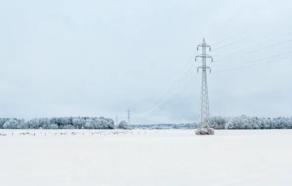 Winter, snow, freeze, cloudy, frost, woodland, power line, snowing