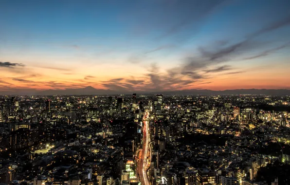 Картинка дома, небоскребы, панорама, Tokyo, мегаполис