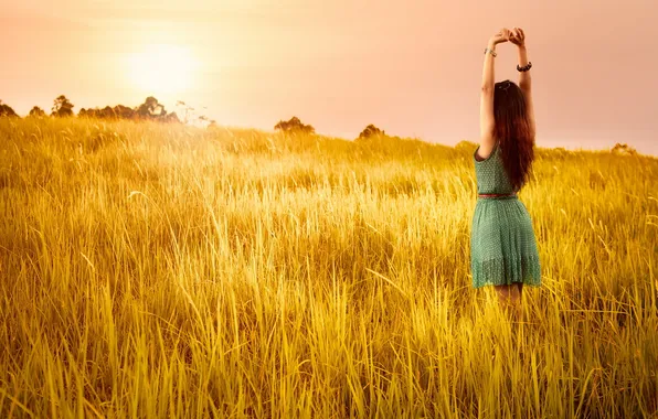 Поле, лето, девушка