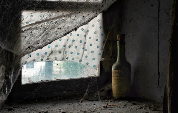 Картинка бутылка, паутина, окно, натурализм