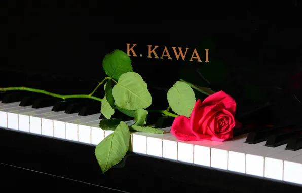 Музыка, роза, пианино