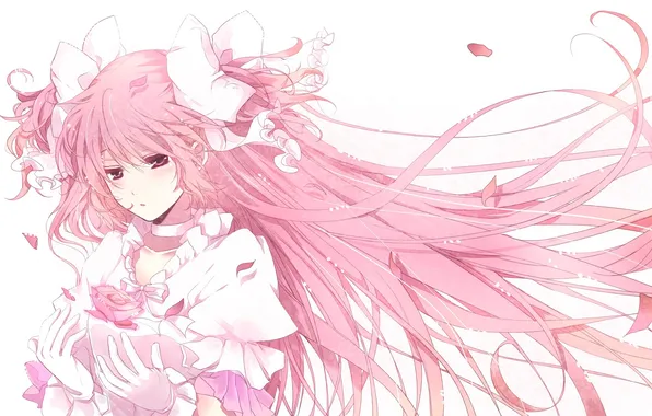 Картинка цветок, лепестки, девочка, бант, длинные волосы, mahou shoujo madoka magica, розовые волосы, kaname madoka