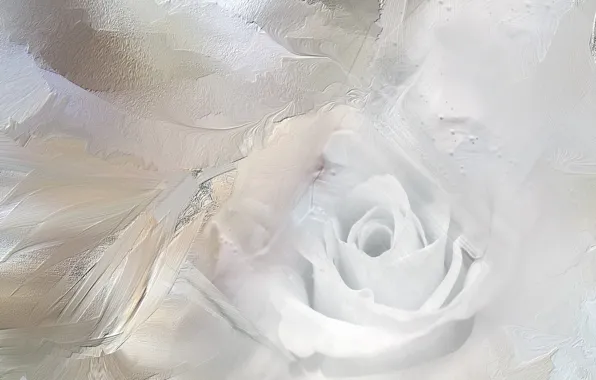 Картинка абстракция, цвет, Ice Rose